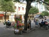 49-Saigon-Vendo fiori....